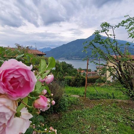 Villetta Con Giardino Privato Кремия Экстерьер фото